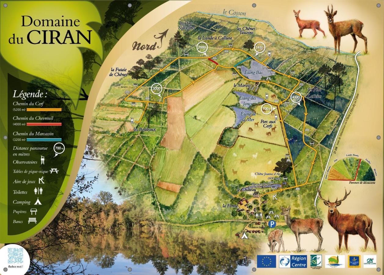 Le Cocoon D'Annabelle - Jolie Maison Avec Jeux Et Grand Jardin Pierrefitte-sur-Sauldre Eksteriør bilde